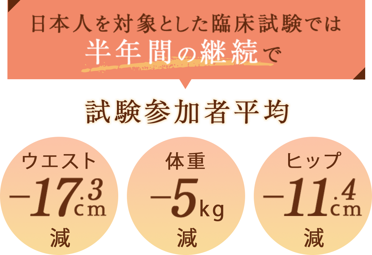 日本人を対象とした臨床試験では半年間の継続で試験参加者平均 ウエスト-17.3cm減 体重-5kg減 ヒップ-11.4cm減